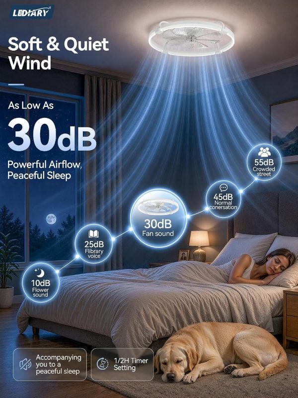 windphoto 24" Low Profile Ceiling Fans with Lights, Remote/APP Control, White | Wider Airflow, Stepless Dimmable LED, Quiet Reversible DC Motor, 6 Speeds, 3CCT, Timer, Bedroom, Living Room, Kitchen
