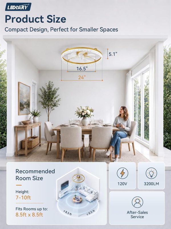 windphoto 24" Low Profile Ceiling Fans with Light and Remote, Fandelier Gold | Reversible Airflow, 3000-6000K Dimmable LED, 6 Speeds, DC Motor, Memory, Timer, Flush Mount, Bedroom, Living Room, Kitchen
