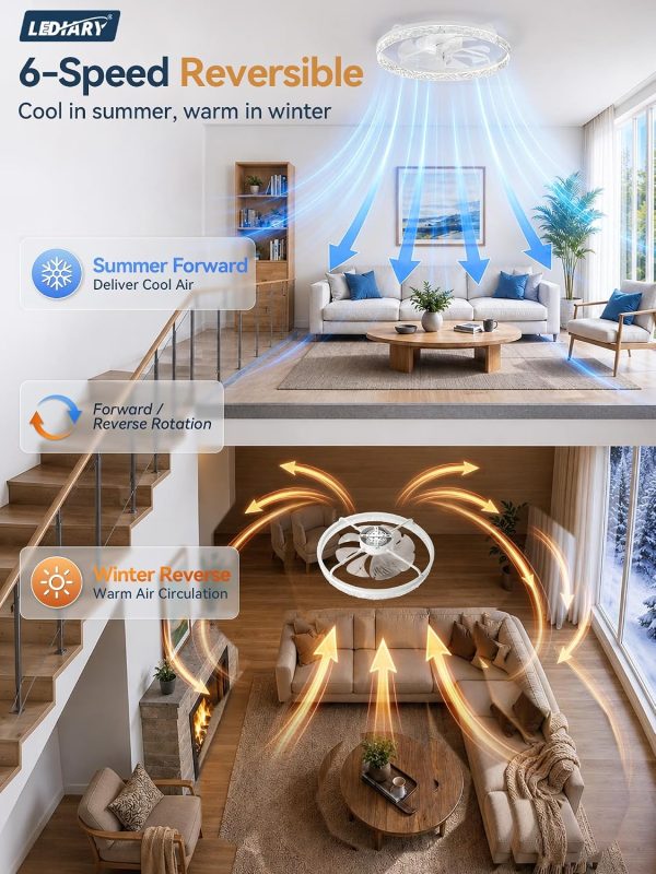 windphoto 24" Low Profile Ceiling Fans with Light and Remote, Fandelier White | Reversible Airflow, 3000-6000K Dimmable LED, 6 Speeds, DC Motor, Memory, Timer, Flush Mount, Bedroom, Living Room, Kitchen
