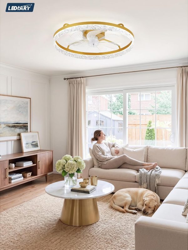 windphoto 24" Low Profile Ceiling Fans with Light and Remote, Fandelier Gold | Reversible Airflow, 3000-6000K Dimmable LED, 6 Speeds, DC Motor, Memory, Timer, Flush Mount, Bedroom, Living Room, Kitchen
