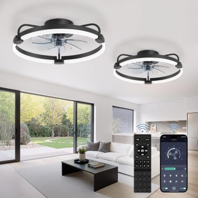 81fl-d5OPtL._AC_SL1500_.jpg windphoto 2 Pack 20" Low Profile Ceiling Fans with Lights and Remote | Flush Mount, Stepless Dimmable Fandelier, 6 Speeds, 3 CCT, Quiet Reversible DC Motor, 2H Timer, Bedroom, Living Room, Black