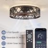 81gdYKy6ImL._AC_SL1500_.jpg windphoto 20" Caged Farmhouse Ceiling Fan with Light, Flush Mount, Black Gold | Remote&APP Control, Small Low Profile, Rustic Fandaliers, Industrial Bladeless Enclosed, Powerful Motor for Bedroom, Kitchen