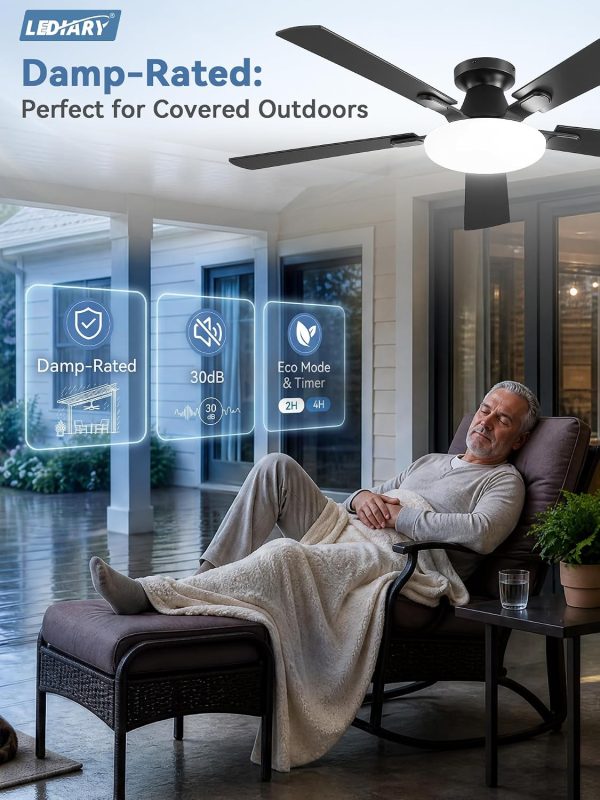 windphoto 52 Inch Flush Mount Ceiling Fans with Lights, Remote & APP Control | Bright Light, 3CCT, Memory Function, Timer, Reversible Blade, Quiet DC Motor, Damp-Rated, Living Room, Bedroom, Covered Patio