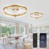 81hCbjVgXpL._AC_SL1500_.jpg windphoto 2 Pack 20" Modern Ceiling Fans with Lights and Remote, Gold | Fandelier, Dimmable Low Profile, Flush Mount, Stepless Color Temperature Change, 6 Speeds, Bedroom, Living Room, Kitchen