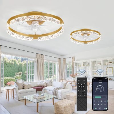 81hCbjVgXpL._AC_SL1500_.jpg windphoto 2 Pack 20" Modern Ceiling Fans with Lights and Remote, Gold | Fandelier, Dimmable Low Profile, Flush Mount, Stepless Color Temperature Change, 6 Speeds, Bedroom, Living Room, Kitchen