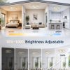 windphoto 24" Low Profile Ceiling Fans with Light and Remote, Fandelier Gold | Reversible Airflow, 3000-6000K Dimmable LED, 6 Speeds, DC Motor, Memory, Timer, Flush Mount, Bedroom, Living Room, Kitchen