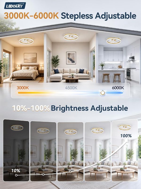 windphoto 24" Low Profile Ceiling Fans with Light and Remote, Fandelier Gold | Reversible Airflow, 3000-6000K Dimmable LED, 6 Speeds, DC Motor, Memory, Timer, Flush Mount, Bedroom, Living Room, Kitchen