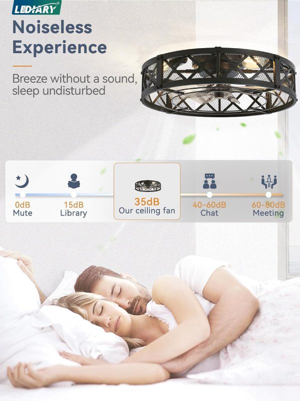 windphoto 23" Caged Farmhouse Ceiling Fan with Light, Flush Mount, Black | Remote&APP Control, Large Low Profile, Rustic Fandaliers, Industrial Bladeless Enclosed, Powerful Motor for Bedroom, Kitchen