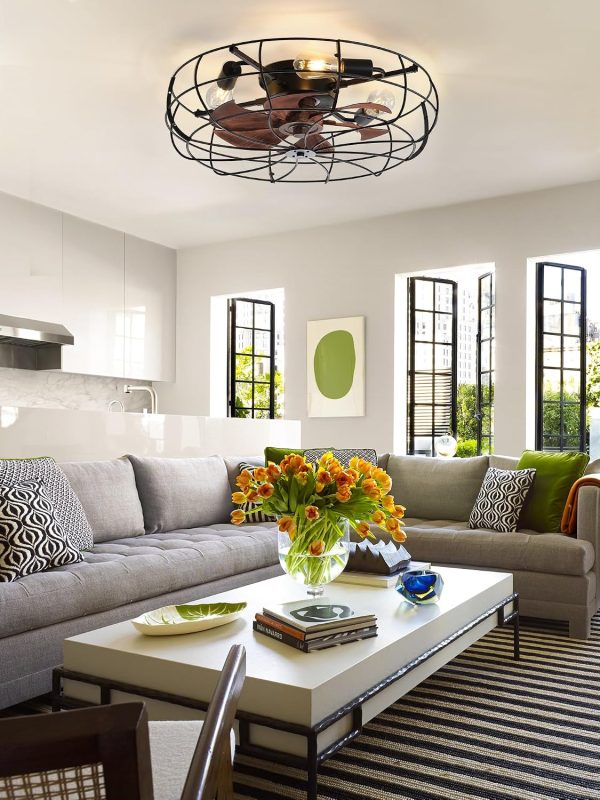 81ijZjTpFmL._AC_SL1500_.jpg windphoto 23" Caged Farmhouse Ceiling Fans with Lights and Remote/App, Black | Flush Mount Bladeless Low Profile, Fandalier Large Rustic, Industrial Enclosed, Quiet & Powerful for Bedroom, Kitchen, Indoor