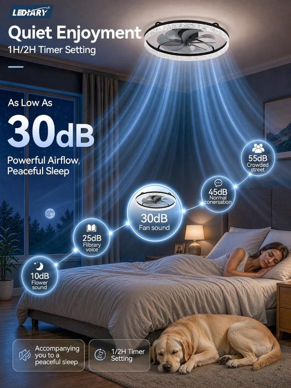 windphoto 24" Low Profile Ceiling Fans with Light and Remote, Fandelier Black | Reversible Airflow, 3000-6000K Dimmable LED, 6 Speeds, DC Motor, Memory, Timer, Flush Mount, Bedroom, Living Room, Kitchen
