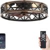 81izOgL31-L._AC_SL1500_.jpg windphoto 23" Caged Farmhouse Ceiling Fan with Light, Flush Mount, Black Gold | Remote&APP Control, Large Low Profile, Rustic Fandaliers, Industrial Bladeless Enclosed, Powerful Motor for Bedroom, Kitchen