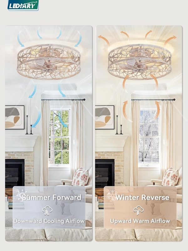 81n0hjZ7rvL._AC_SL1500_.jpg windphoto 23" Caged Ceiling Fan with Light, Flush Mount Fandalier with Remote | Low Profile, Farmhouse Large, Bladeless Industrial, Quiet DC Motor, App Control for Bedroom, Kitchen, Dining Room, White Gold