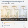 81puKsYxiEL._AC_SL1500_.jpg windphoto 2 Pack 20" Modern Ceiling Fans with Lights and Remote, Gold | Fandelier, Dimmable Low Profile, Flush Mount, Stepless Color Temperature Change, 6 Speeds, Bedroom, Living Room, Kitchen
