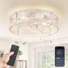 windphoto 20" Caged Ceiling Fan with Light and Remote, Small Fandalier, White | Flush Mount Low Profile, APP Control, Bladeless Industrial Enclosed, Quiet & Powerful for Bedroom, Kitchen, Dining Room