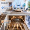 windphoto 24" Low Profile Ceiling Fans with Lights, Remote/APP Control, Black | Wider Airflow, Stepless Dimmable LED, Quiet Reversible DC Motor, 6 Speeds, 3CCT, Timer, Bedroom, Living Room, Kitchen