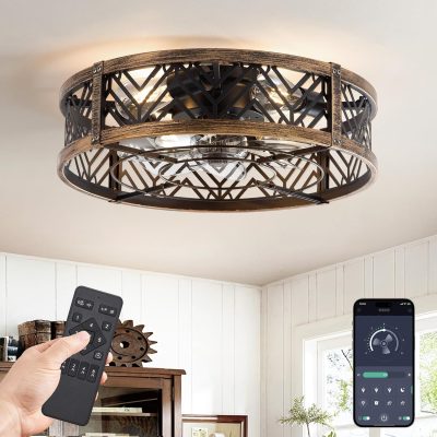 81sNiWEWdXL._AC_SL1500_.jpg windphoto 20" Caged Ceiling Fan with Light and Remote, Fandalier, Black Gold | Flush Mount Low Profile, APP Control, Rustic Bladeless Industrial Enclosed, Quiet & Powerful for Bedroom,Kitchen,Dining Room