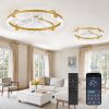 windphoto 2-Pack 24" Ceiling Fans with Lights, APP & Remote, Gold | Low Profile, Flush Mount, Fandelier, 3000K-6000K, Dimmable LED, for Bedroom