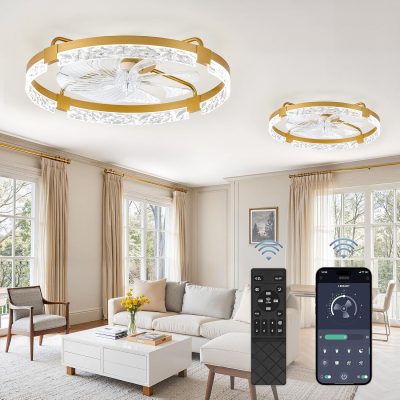 windphoto 2-Pack 24" Ceiling Fans with Lights, APP & Remote, Gold | Low Profile, Flush Mount, Fandelier, 3000K-6000K, Dimmable LED, for Bedroom