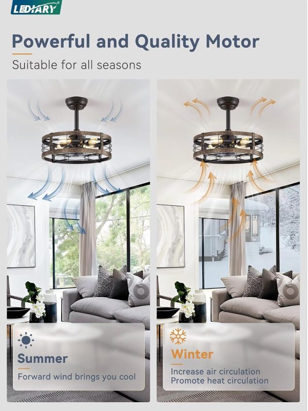 81t5e8DYcRL._AC_SL1500_.jpg windphoto 18 inch Caged Fandelier Ceiling Fan Light with Remote, Black Gold | 6 Speed Adjustable,Timing, Quiet & Powerful DC, Small, Farmhouse, Industrial, Enclosed, Bladeless, Bedroom, Kitchen, Downrod
