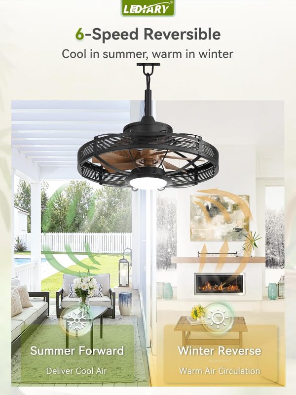 81uZS7nVwtL._AC_SL1500_.jpg windphoto 20" Brown IP65 Waterproof Outdoor Ceiling Fan with Light for Patios | APP&Remote Control,6-Speeds,3CCT Dimmable,Reverse DC Motor, Suitable for 10' x 12' Area,for Gazebo,Porch