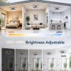 windphoto 24" Low Profile Ceiling Fans with Light and Remote, Fandelier Browm | Reversible Airflow, 3000-6000K Dimmable LED, 6 Speeds, DC Motor, Memory, Timer, Flush Mount, Bedroom, Living Room, Kitchen