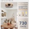 windphoto 20 inch Fandelier Caged Ceiling Fan with Light, Bladeless Ceiling Fan with Remote, Farmhouse Fan Lights Ceiling Fixtures for Kitchen, Bedroom, Outdoor(6 Speed, Timing)