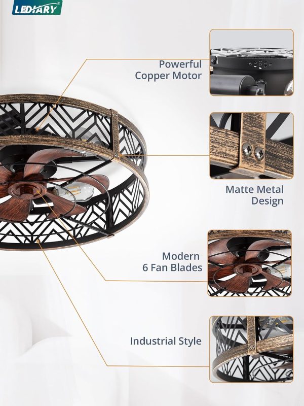 windphoto 23" Caged Ceiling Fan with Light and Remote, Fandalier, Black Gold | Flush Mount Low Profile, APP Control, Rustic Bladeless Industrial Enclosed, Quiet & Powerful for Bedroom,Kitchen,Dining Room
