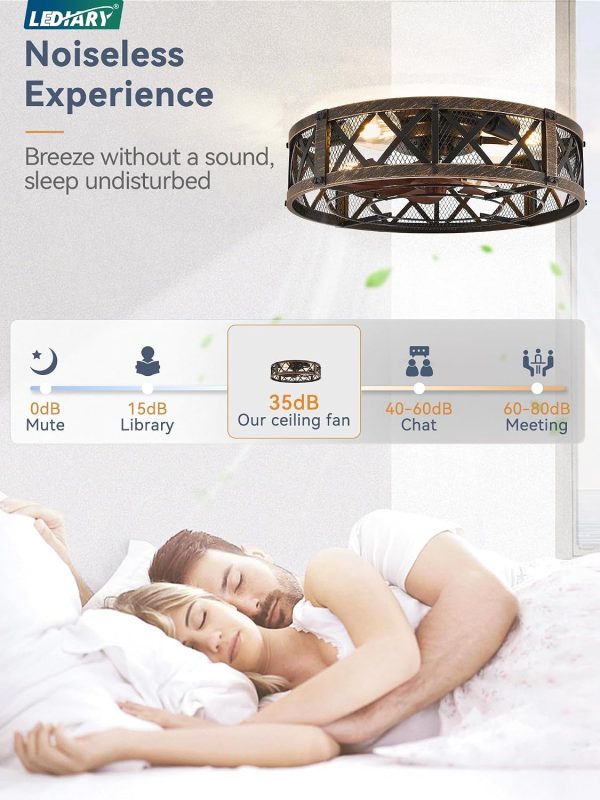 81yaCkLRQL._AC_SL1500_.jpg windphoto 20" Caged Farmhouse Ceiling Fan with Light, Flush Mount, Black Gold | Remote&APP Control, Small Low Profile, Rustic Fandaliers, Industrial Bladeless Enclosed, Powerful Motor for Bedroom, Kitchen