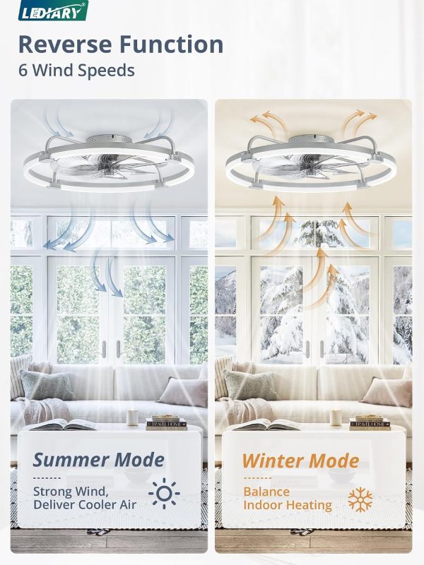 81yxk7j8uYL._AC_SL1500_.jpg windphoto 2 Pack 24" Ceiling Fans with Lights and Remote, Low Profile | Flush Mount, Stepless Dimmable Fandelier, 6 Speeds, 3 CCT, Quiet Reversible DC Motor, 2H Timer, Bedroom, Living Room, Grey