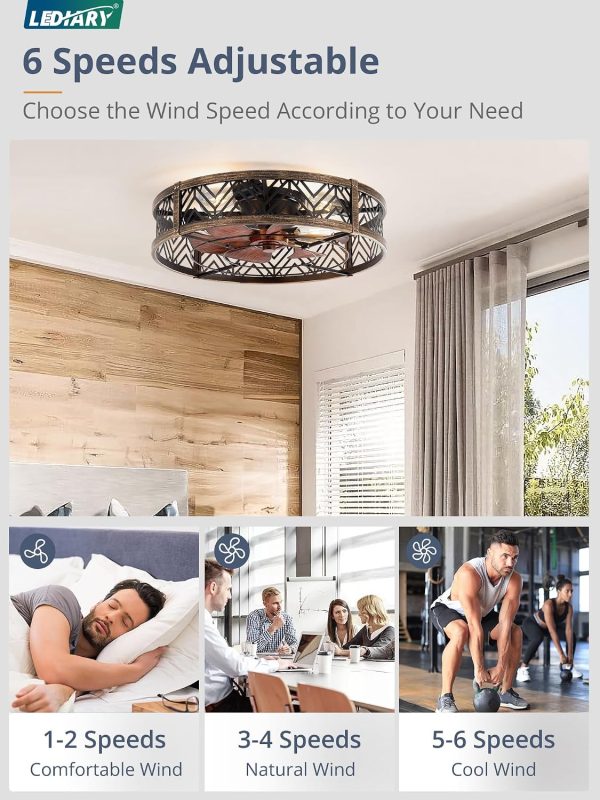 windphoto 23" Caged Ceiling Fan with Light and Remote, Fandalier, Black Gold | Flush Mount Low Profile, APP Control, Rustic Bladeless Industrial Enclosed, Quiet & Powerful for Bedroom,Kitchen,Dining Room
