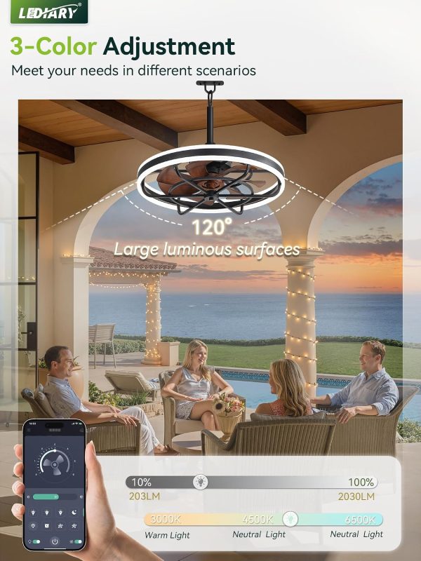 windphoto 24" Outdoor Ceiling Fans with Light, IP65 Waterproof Gazebo Fan | Outdoor Fan with Hanging Hook, Remote & App Control, 3CCT Dimmable,Timer, Caged Plug in Ceiling Fan for Patio, Porch, Pergola